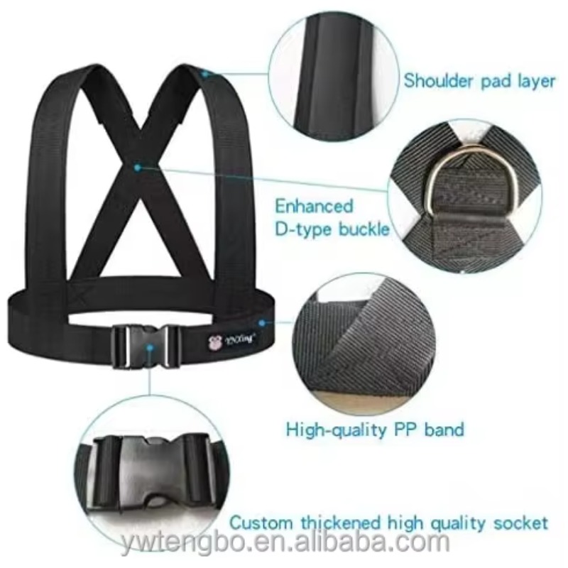 Tali Tarik Lateks Dua Tahanan, - Jump Rope ulasan dan harga